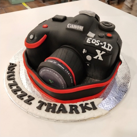 Camera Cake - CakeCentral.com